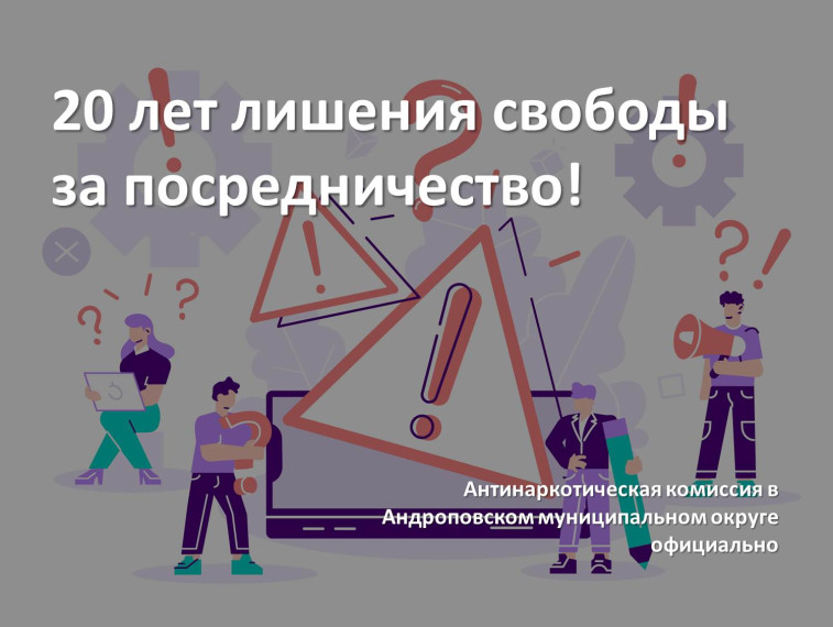 20 лет лишения свободы за посредничество!.