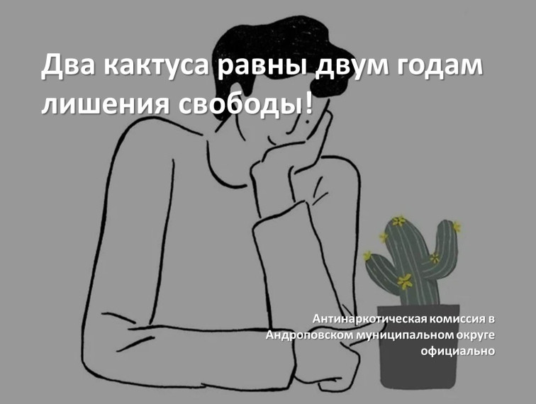 Два кактуса равны двум годам лишения свободы!.
